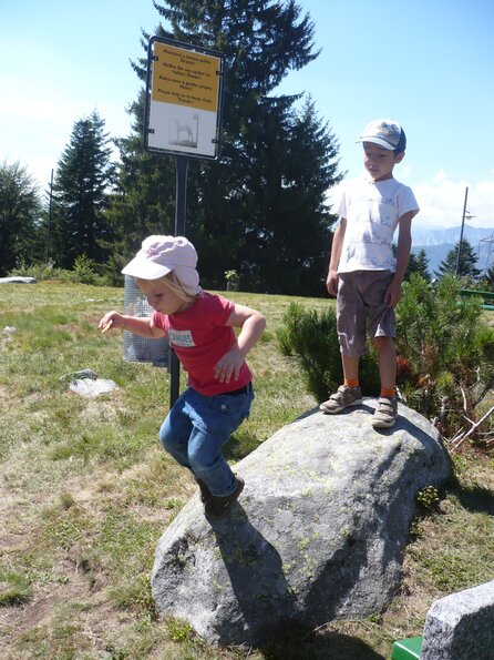 20100819_142639_P1030270