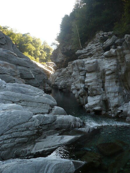 20100829_180411_P1030294