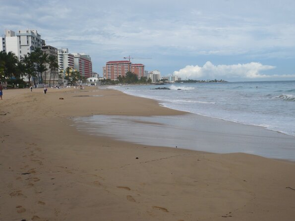 20101107_141755_P1030413
