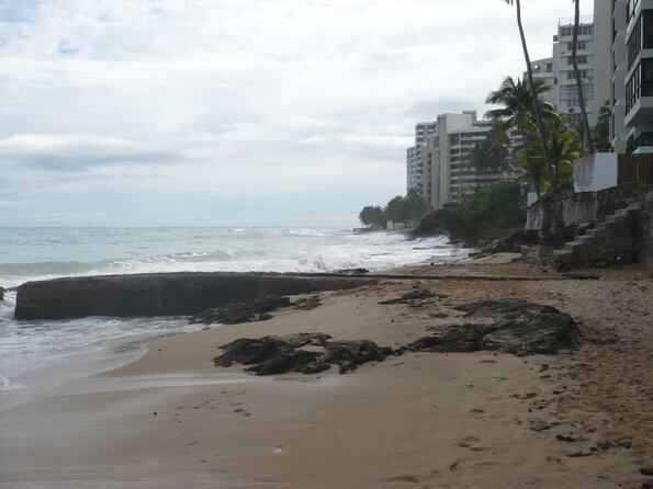 20101107_141803_P1030414
