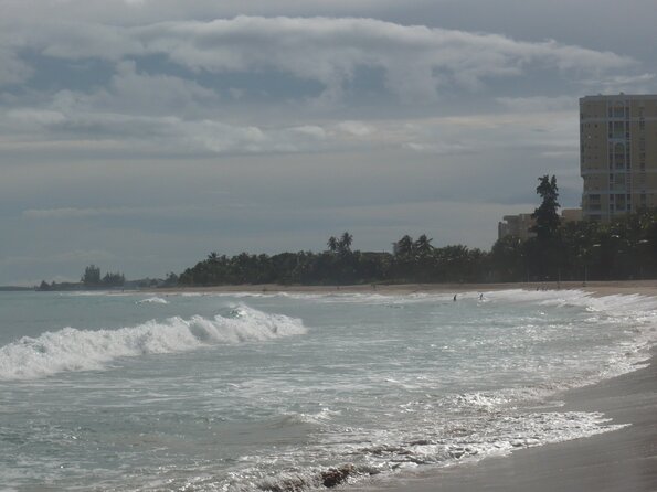 20101107_143102_P1030417