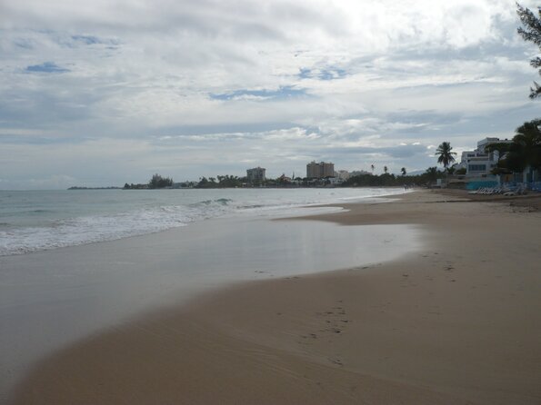 20101107_144737_P1030419