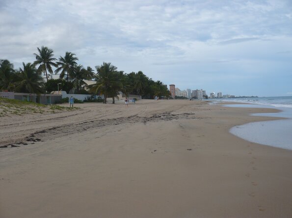 20101107_144744_P1030420