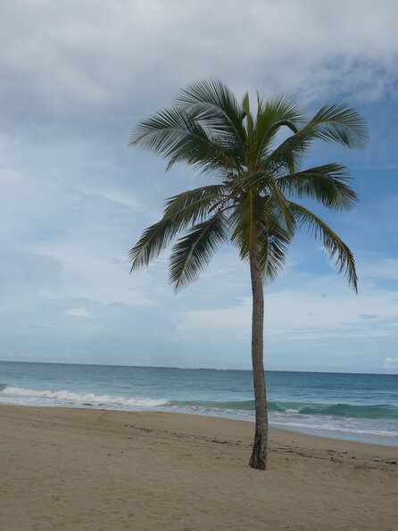 20101107_145831_P1030425