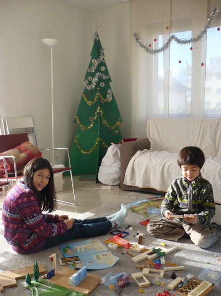 20101212_111154_P1030457