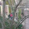 20110106_164303_P1030623