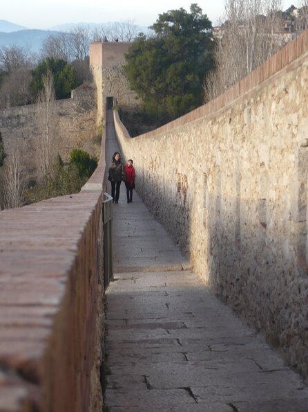 20110106_165718_P1030626