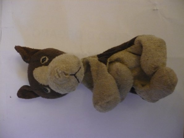 20110109_144159_P1030646