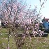 20110325_105634_P1030729