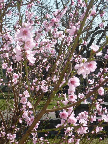 20110325_105705_P1030730
