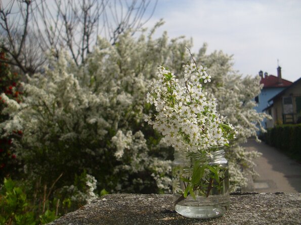 20110326_105606_DSCI0335
