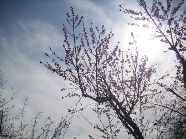 20110326_111849_DSCI0358