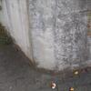 20110326_112017_DSCI0361