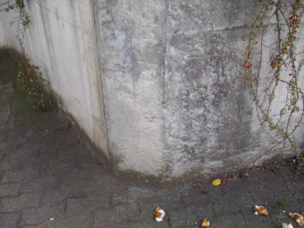 20110326_112017_DSCI0361