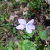 20110410_124438_DSCI0395