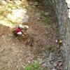 20110410_155149_DSCI0404