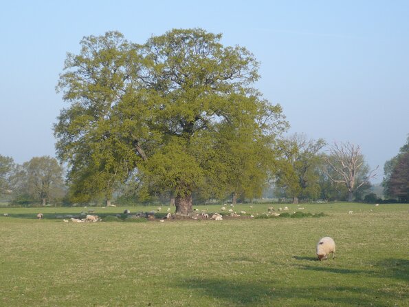 20110419_091247_P1030744