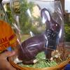 20110426_163814_DSCI0413