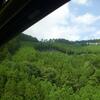 20110628_080548_DSCI0583