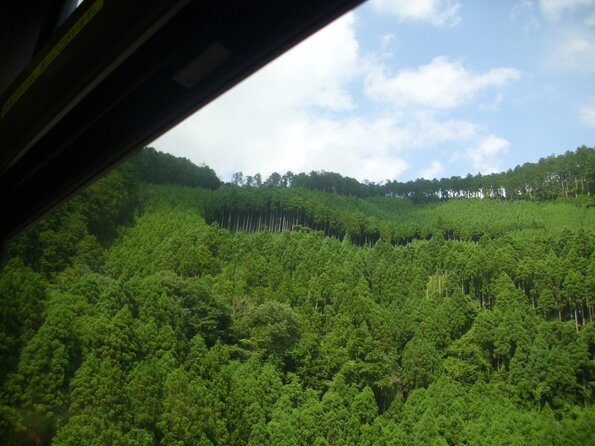 20110628_080548_DSCI0583