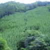 20110628_080935_DSCI0585
