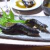 20110628_110830_DSCI0602