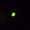 20110628_152207_DSCI0617