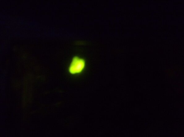20110628_152207_DSCI0617