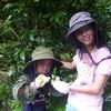 20110701_110723_DSCI0621