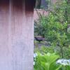 20110701_111845_DSCI0624