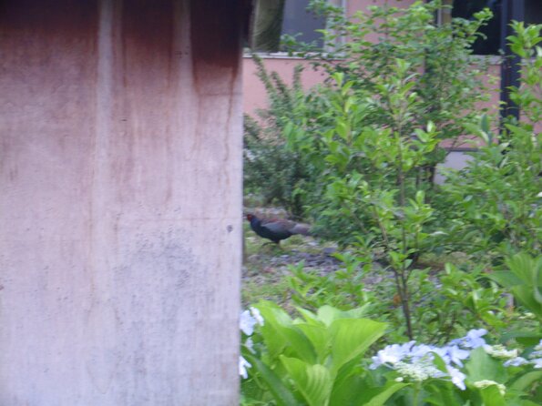 20110701_111845_DSCI0624