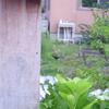 20110701_111852_DSCI0625
