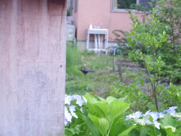 20110701_111852_DSCI0625