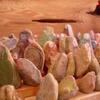 20110706_071844_DSCI0657