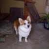20110706_091110_DSCI0663