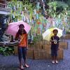 20110707_031223_DSCI0664
