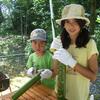 20110711_053803_DSCI0686