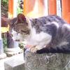 20110720_101717_DSCI0731