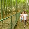 20110720_111253_DSCI0737
