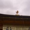20110721_053615_DSCI0744