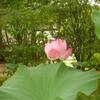 20110721_072838_DSCI0748