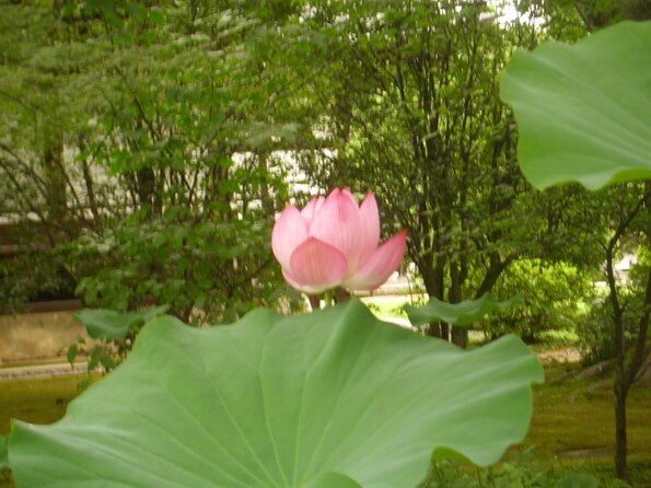 20110721_072838_DSCI0748