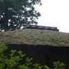 20110721_124301_P1030832