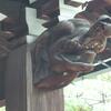 20110721_145818_P1030845