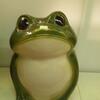 20110724_102329_DSCI0783