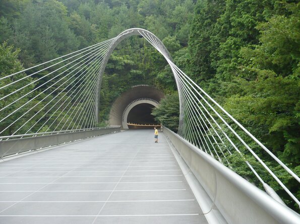 20110724_162614_P1030876