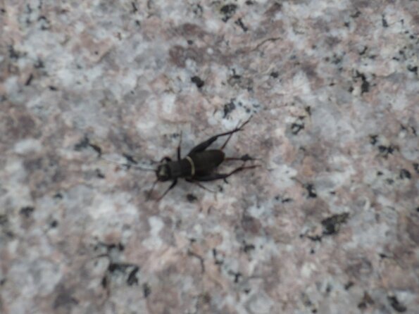 20110724_163816_P1030884