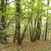 20110916_091907_DSCI0016