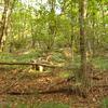 20110916_091920_DSCI0017