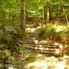 20110916_093447_DSCI0023